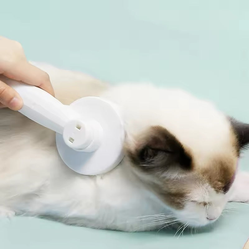 Cat Comb Hair Removal Pét