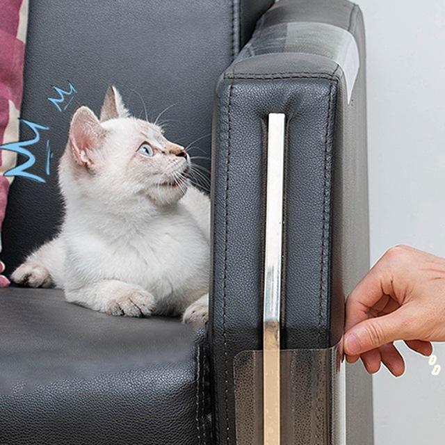 Cat Scratch Guard