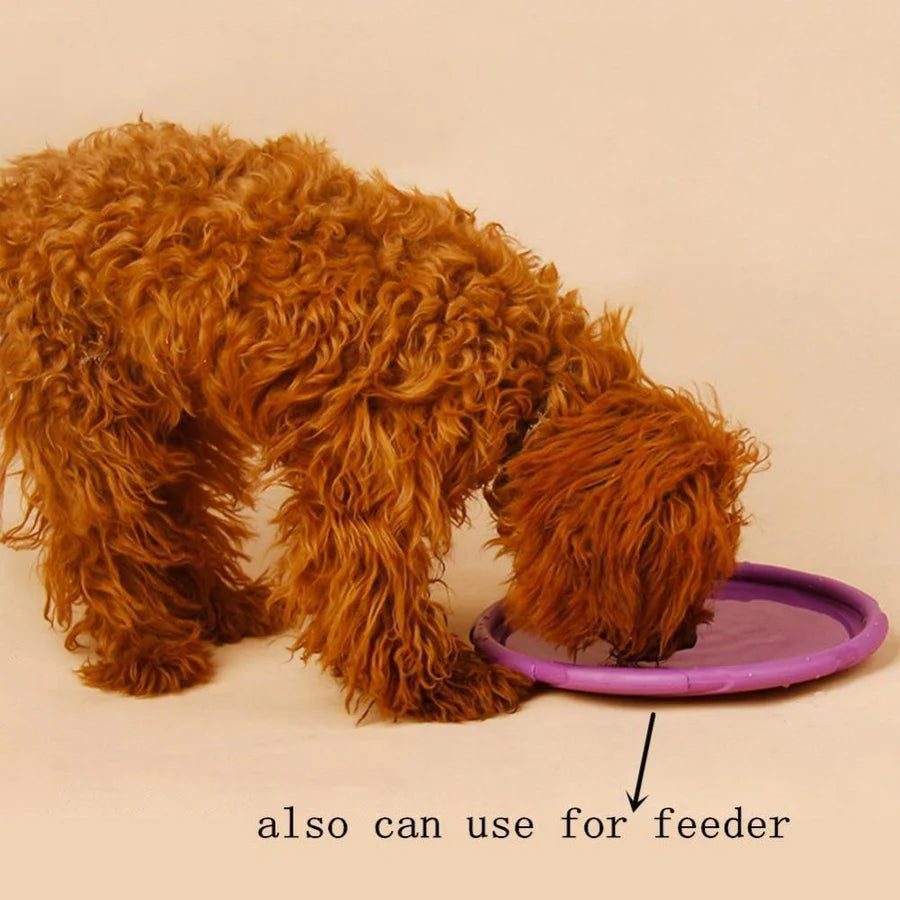 Dog-O-Soar Flying Disc | Frisbee Interactive Toy