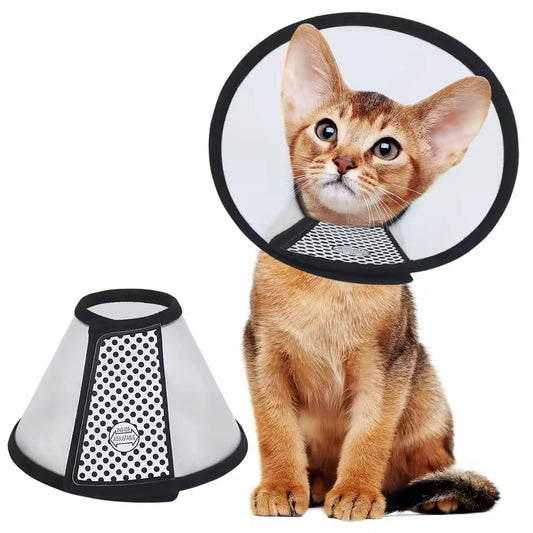 Vivifying Cat Cone
