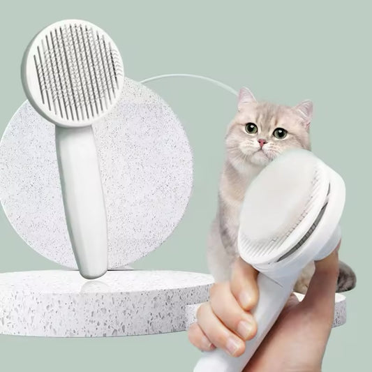 Cat Comb Hair Removal Pét