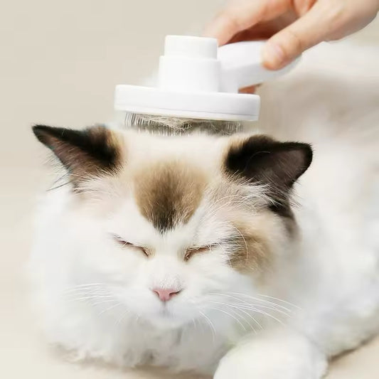 Cat Comb Hair Removal Pét