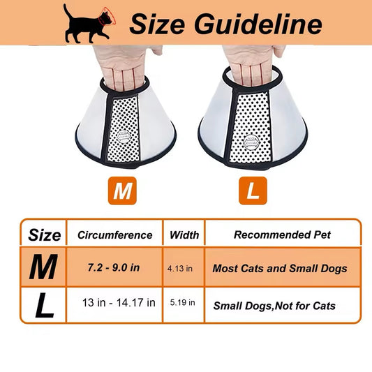 Vivifying Cat Cone