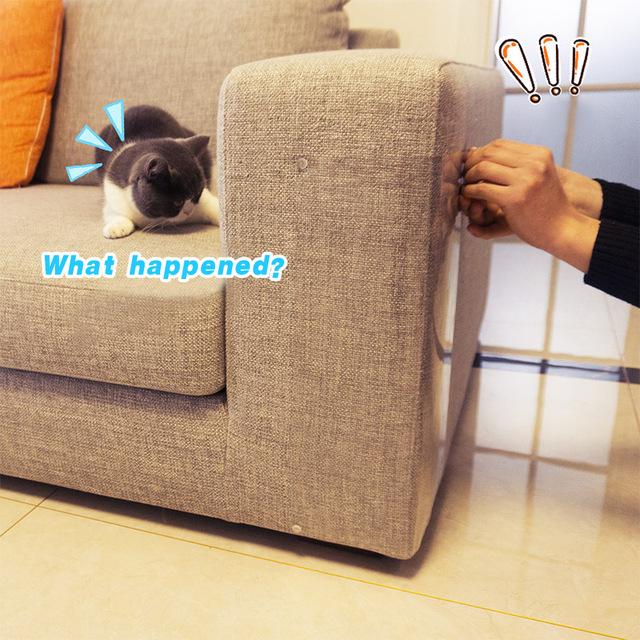 Cat Scratch Guard
